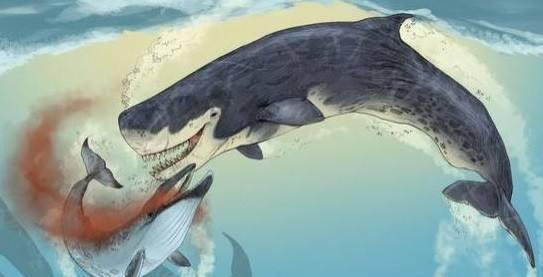 史上最强海洋十大霸主排名