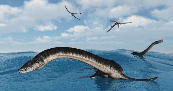 史上最强海洋十大霸主排名