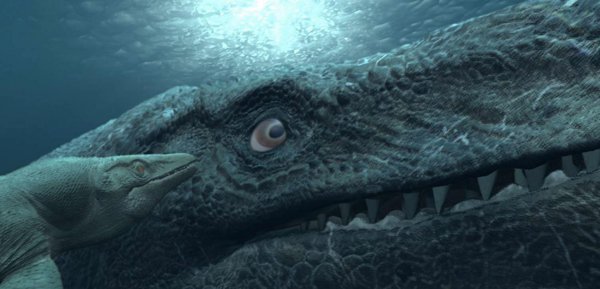 史上最强海洋十大霸主排名