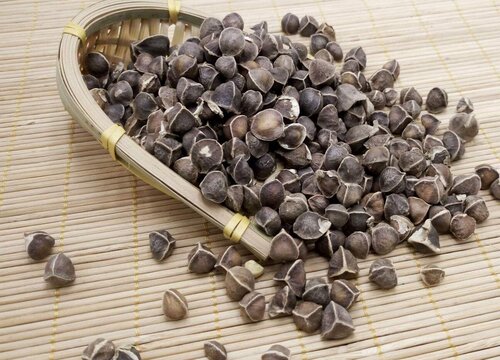 辣木籽的功效与作用