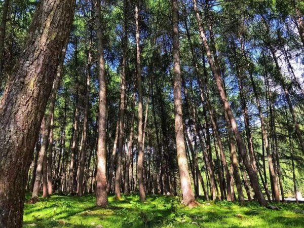 神木垒海拔最高多少米