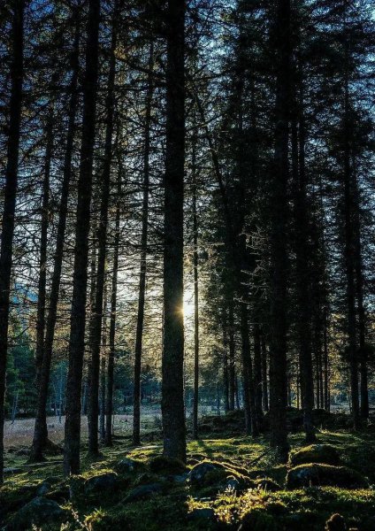 神木垒海拔最高多少米