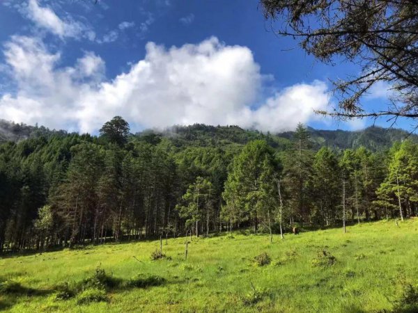 神木垒海拔最高多少米