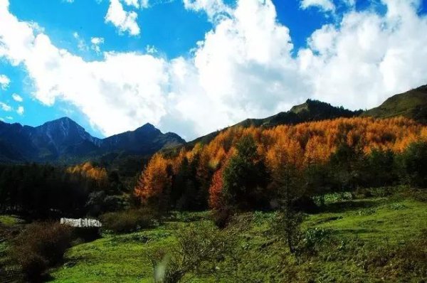 神木垒海拔最高多少米