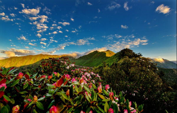 神木垒海拔最高多少米