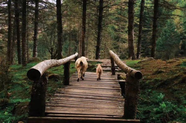 神木垒海拔最高多少米