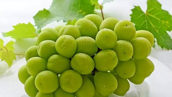 晴王葡萄为什么这么贵