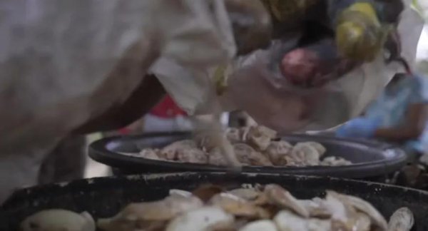 中国腰果产地是哪里