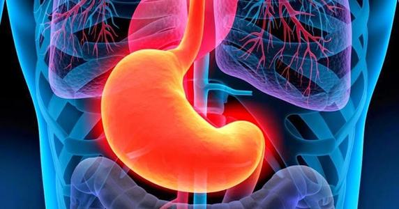 液体面包指的是什么东西