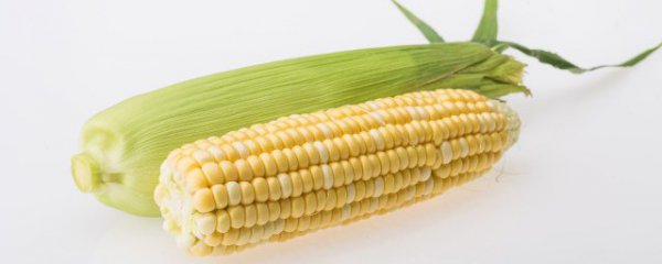 冬季玉米种子储存方法