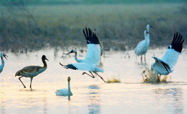 我国第一大淡水湖是什么