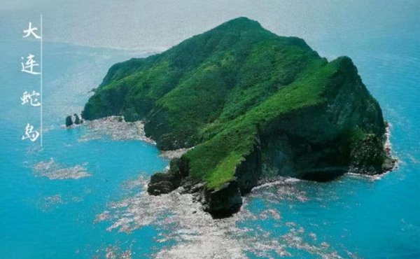 冬眠的蛇会咬人吗