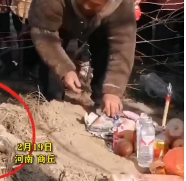 冬眠的蛇会咬人吗