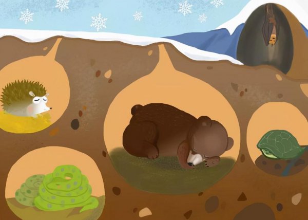 冬眠的蛇会咬人吗