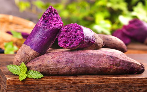 农业种什么短快最赚钱