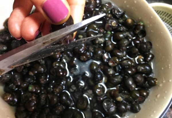 小田螺怎么清洗才干净