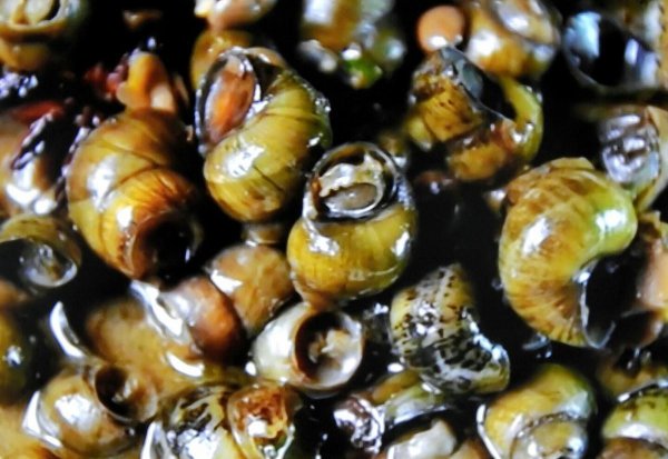 小田螺怎么清洗才干净