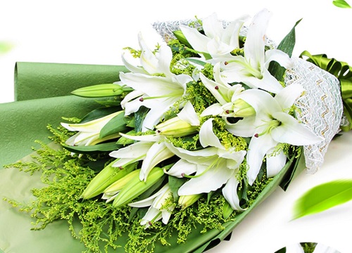 香水百合的繁殖方法