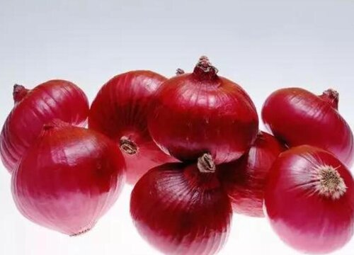 洋葱11月多还可以种吗