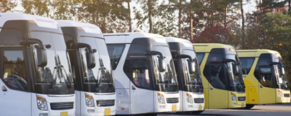 乘车礼仪有哪些注意事项