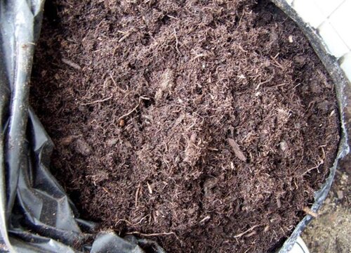 养花用的泥炭土是什么土壤