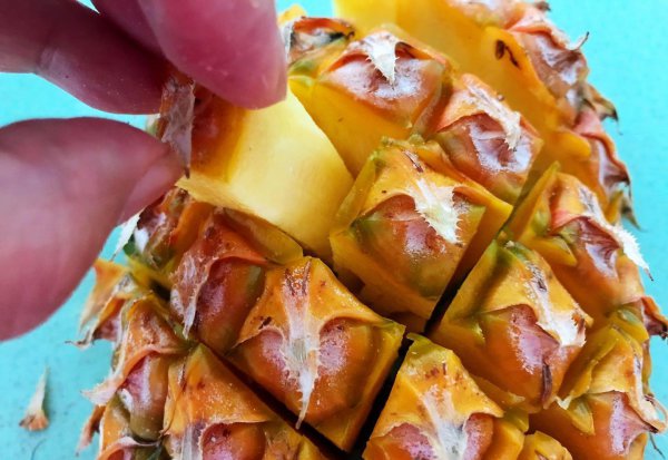 凤梨和菠萝有什么不一样的地方