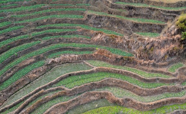 江西农田补贴是多少钱一亩