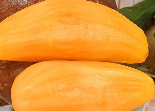 雪莲果能放冰箱吗