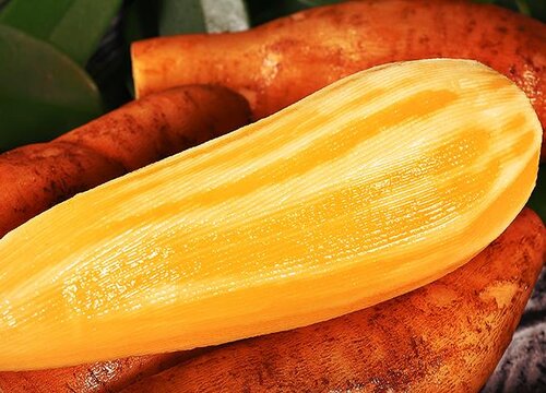 雪莲果能放冰箱吗