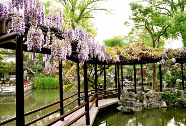 我国四大园林是哪四大