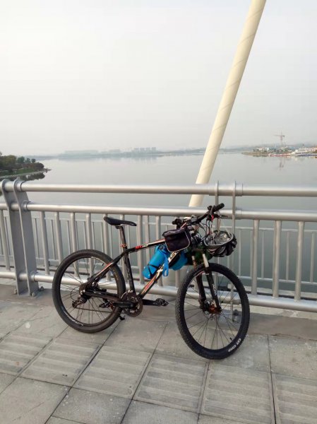 骑自行车的正确姿势