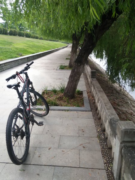 骑自行车的正确姿势