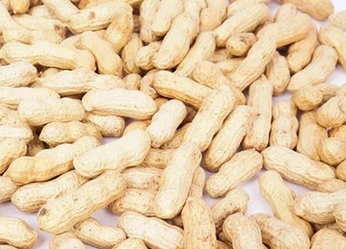 花生什么季节开花结果