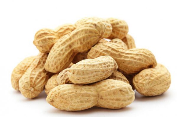 花生什么季节开花结果