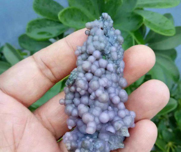 阿拉善玉石为什么这么便宜