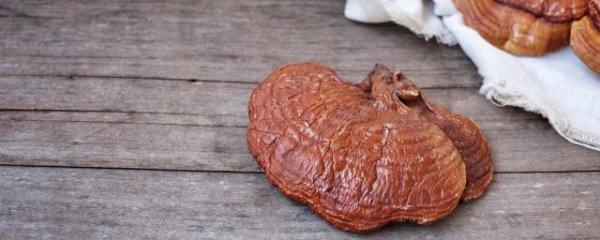 如何保存干灵芝