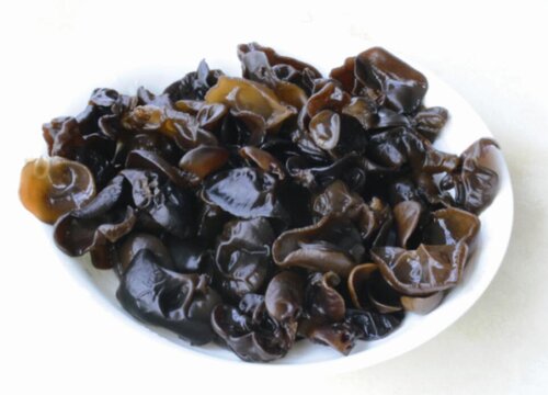 种植木耳赚钱吗