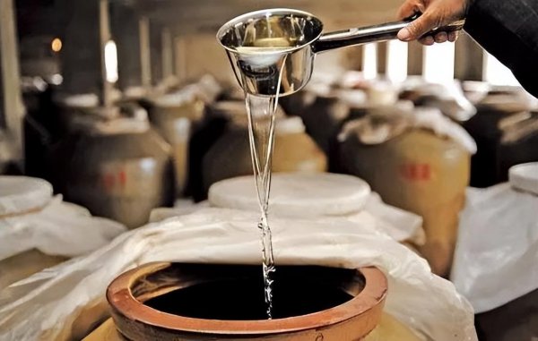 雪莲果的产地在哪里