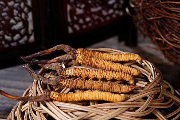 中国九大仙草是哪几种