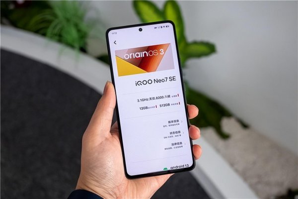 12+256手机性价比最高机型