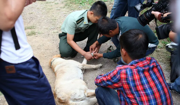 好看的军旅电视剧推荐几部