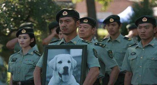 好看的军旅电视剧推荐几部