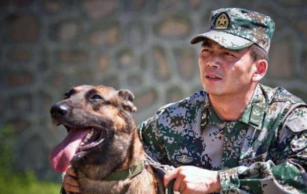 好看的军旅电视剧推荐几部