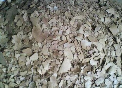 菜籽饼可以直接埋地里施肥吗