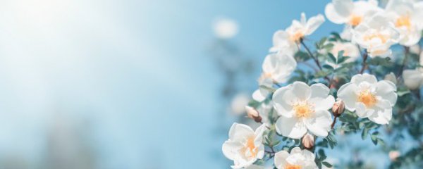 春分可以做什么活动