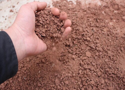 砖瓦如何养兰花生长旺盛猛开花