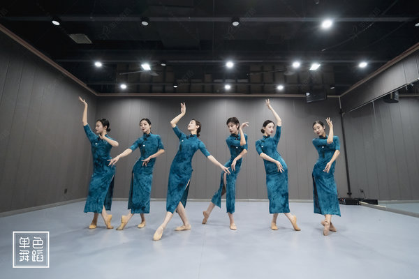 舞蹈几级可以当老师