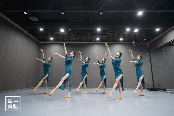 舞蹈几级可以当老师