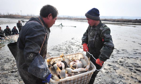 内蒙古多大面积