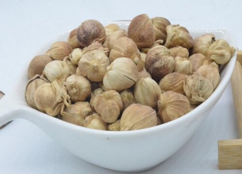 豆蔻和白豆蔻一样吗